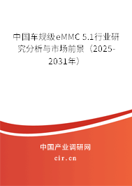 中國車規(guī)級eMMC 5.1行業(yè)研究分析與市場前景（2025-2031年）