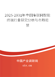 2025-2031年中國車聯(lián)網(wǎng)智能終端行業(yè)研究分析與市場前景
