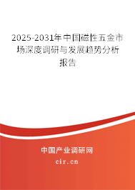 2025-2031年中國磁性五金市場深度調(diào)研與發(fā)展趨勢分析報(bào)告