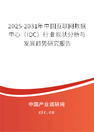 2025-2031年中國互聯(lián)網(wǎng)數(shù)據(jù)中心（IDC）行業(yè)現(xiàn)狀分析與發(fā)展趨勢(shì)研究報(bào)告
