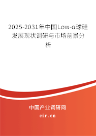 2025-2031年中國(guó)Low-α球硅發(fā)展現(xiàn)狀調(diào)研與市場(chǎng)前景分析