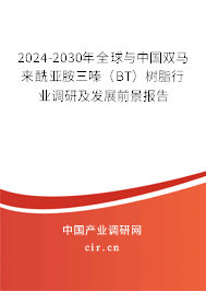 2024-2030年全球與中國雙馬來酰亞胺三嗪（BT）樹脂行業(yè)調(diào)研及發(fā)展前景報告