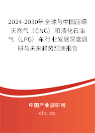 2024-2030年全球與中國壓縮天然氣（CNG）和液化石油氣（LPG）車行業(yè)發(fā)展深度調(diào)研與未來趨勢預(yù)測報告