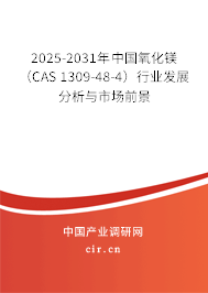 2025-2031年中國氧化鎂（CAS 1309-48-4）行業(yè)發(fā)展分析與市場前景