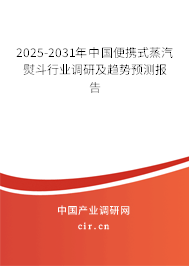 2025-2031年中國便攜式蒸汽熨斗行業(yè)調(diào)研及趨勢預測報告