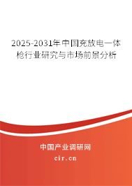 2025-2031年中國充放電一體槍行業(yè)研究與市場前景分析 2025-2031年中國充放電一體槍行業(yè)研究與市場前景分析