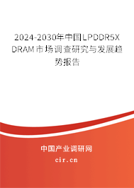 2024-2030年中國LPDDR5X DRAM市場調查研究與發(fā)展趨勢報告