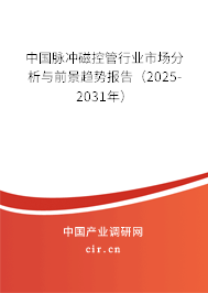 中國脈沖磁控管行業(yè)市場分析與前景趨勢報告（2025-2031年）