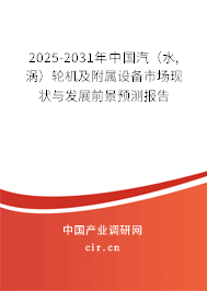 2025-2031年中國汽（水,渦）輪機(jī)及附屬設(shè)備市場現(xiàn)狀與發(fā)展前景預(yù)測報告