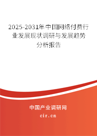 2025-2031年中國網(wǎng)絡(luò)付費行業(yè)發(fā)展現(xiàn)狀調(diào)研與發(fā)展趨勢分析報告