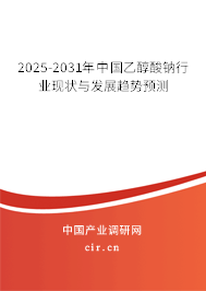 2025-2031年中國乙醇酸鈉行業(yè)現(xiàn)狀與發(fā)展趨勢預測