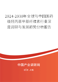 2024-2030年全球與中國(guó)醫(yī)藥級(jí)羥丙基甲基纖維素行業(yè)深度調(diào)研與發(fā)展趨勢(shì)分析報(bào)告