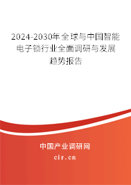 2024-2030年全球與中國智能電子鎖行業(yè)全面調(diào)研與發(fā)展趨勢報告