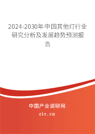 2023-2029年中國其他燈行業(yè)研究分析及發(fā)展趨勢預測報告