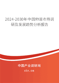 2023-2029年中國帥普市場調(diào)研及發(fā)展趨勢分析報告
