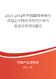 2024-2030年中國草莓種植與深加工市場現(xiàn)狀研究分析與發(fā)展前景預(yù)測報告