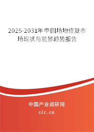 2025-2031年中國場地修復(fù)市場現(xiàn)狀與前景趨勢報告