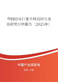中國廚電行業(yè)市場(chǎng)調(diào)研與發(fā)展趨勢(shì)分析報(bào)告(2025年) 中國廚電行業(yè)市場(chǎng)調(diào)研與發(fā)展趨勢(shì)分析報(bào)告(2025年)