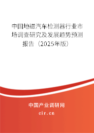 中國地磁汽車檢測器行業(yè)市場調(diào)查研究及發(fā)展趨勢預測報告（2025年版）
