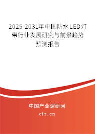 2025-2031年中國防水LED燈帶行業(yè)發(fā)展研究與前景趨勢預測報告