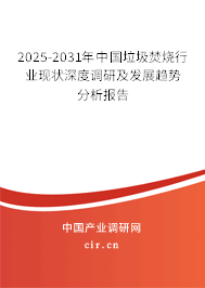 2025-2031年中國垃圾焚燒行業(yè)現(xiàn)狀深度調(diào)研及發(fā)展趨勢分析報(bào)告