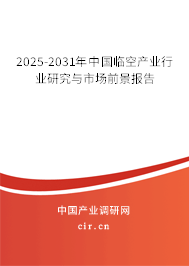 2025-2031年中國臨空產(chǎn)業(yè)行業(yè)研究與市場前景報告