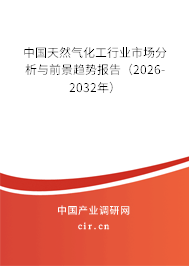 中國(guó)天然氣化工行業(yè)市場(chǎng)分析與前景趨勢(shì)報(bào)告(2026-2032年) 中國(guó)天然氣化工行業(yè)市場(chǎng)分析與前景趨勢(shì)報(bào)告(2026-2032年)