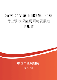 2025-2031年中國吸塑、注塑行業(yè)現(xiàn)狀深度調(diào)研與發(fā)展趨勢報告