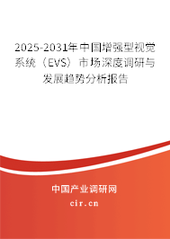 2025-2031年中國增強(qiáng)型視覺系統(tǒng)（EVS）市場深度調(diào)研與發(fā)展趨勢分析報告