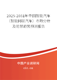 2025-2031年中國智能汽車（智能網(wǎng)聯(lián)汽車）市場分析及前景趨勢預(yù)測報(bào)告