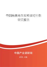 中國胎面再生膠項目可行性研究報告 中國胎面再生膠項目可行性研究報告