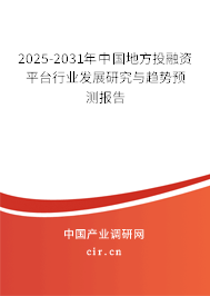 2025-2031年中國地方投融資平臺行業(yè)發(fā)展研究與趨勢預測報告
