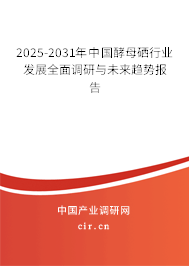 2025-2031年中國酵母硒行業(yè)發(fā)展全面調研與未來趨勢報告