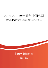 2026-2032年全球與中國(guó)毛刷管市場(chǎng)現(xiàn)狀及前景分析報(bào)告