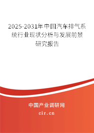2025-2031年中國汽車排氣系統(tǒng)行業(yè)現(xiàn)狀分析與發(fā)展前景研究報告