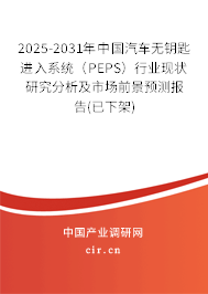 2025-2031年中國汽車無鑰匙進入系統(tǒng)（PEPS）行業(yè)現狀研究分析及市場前景預測報告(已下架)