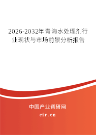 2026-2032年青海水處理劑行業(yè)現(xiàn)狀與市場前景分析報告