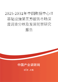 2025-2031年中國數(shù)據(jù)中心IT基礎(chǔ)設(shè)施第三方服務(wù)市場深度調(diào)查分析及發(fā)展前景研究報(bào)告