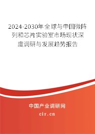 2024-2030年全球與中國微陣列和芯片實驗室市場現(xiàn)狀深度調(diào)研與發(fā)展趨勢報告 2024-2030年全球與中國微陣列和芯片實驗室市場現(xiàn)狀深度調(diào)研與發(fā)展趨勢報告