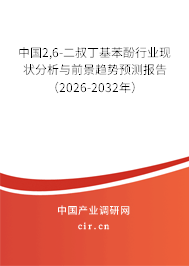中國2,6-二叔丁基苯酚行業(yè)現(xiàn)狀分析與前景趨勢預(yù)測報(bào)告(2026-2032年) 中國2,6-二叔丁基苯酚行業(yè)現(xiàn)狀分析與前景趨勢預(yù)測報(bào)告(2026-2032年)