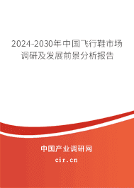 2023-2029年中國(guó)飛行鞋市場(chǎng)調(diào)研及發(fā)展前景分析報(bào)告