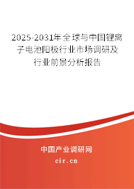 2025-2031年全球與中國鋰離子電池陽極行業(yè)市場調(diào)研及行業(yè)前景分析報告