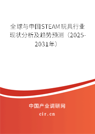 全球與中國STEAM玩具行業(yè)現(xiàn)狀分析及趨勢預(yù)測（2025-2031年）
