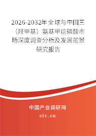 2026-2032年全球與中國三(羥甲基)氨基甲烷磷酸市場深度調(diào)查分析及發(fā)展前景研究報告 2026-2032年全球與中國三(羥甲基)氨基甲烷磷酸市場深度調(diào)查分析及發(fā)展前景研究報告