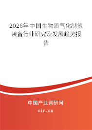 2026年中國(guó)生物質(zhì)氣化制氫裝備行業(yè)研究及發(fā)展趨勢(shì)報(bào)告