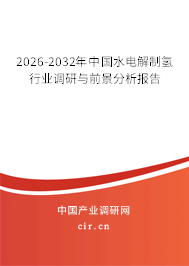 2025-2031年中國水電解制氫行業(yè)調(diào)研與前景分析報告