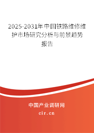 2025-2031年中國(guó)鐵路維修維護(hù)市場(chǎng)研究分析與前景趨勢(shì)報(bào)告