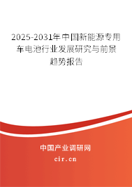 2025-2031年中國新能源專用車電池行業(yè)發(fā)展研究與前景趨勢報(bào)告