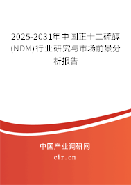 2025-2031年中國(guó)正十二硫醇(NDM)行業(yè)研究與市場(chǎng)前景分析報(bào)告