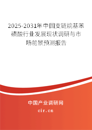 2025-2031年中國支鏈烷基苯磺酸行業(yè)發(fā)展現(xiàn)狀調(diào)研與市場前景預(yù)測報告 2025-2031年中國支鏈烷基苯磺酸行業(yè)發(fā)展現(xiàn)狀調(diào)研與市場前景預(yù)測報告